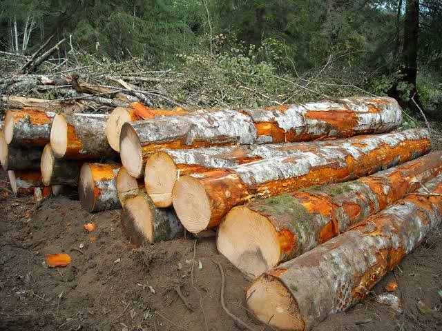 earth-store-testimonials-avatar-img-1 fqwfqw